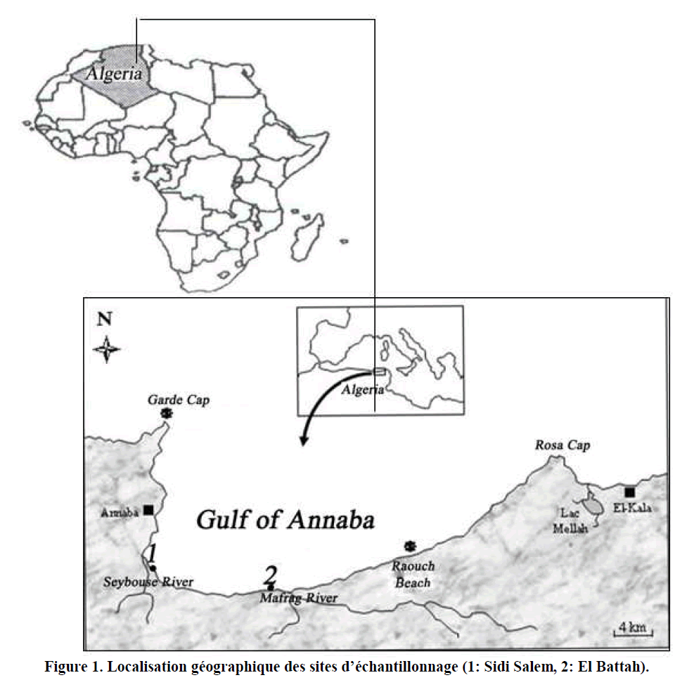 experimental-biology-Localisation-geographique