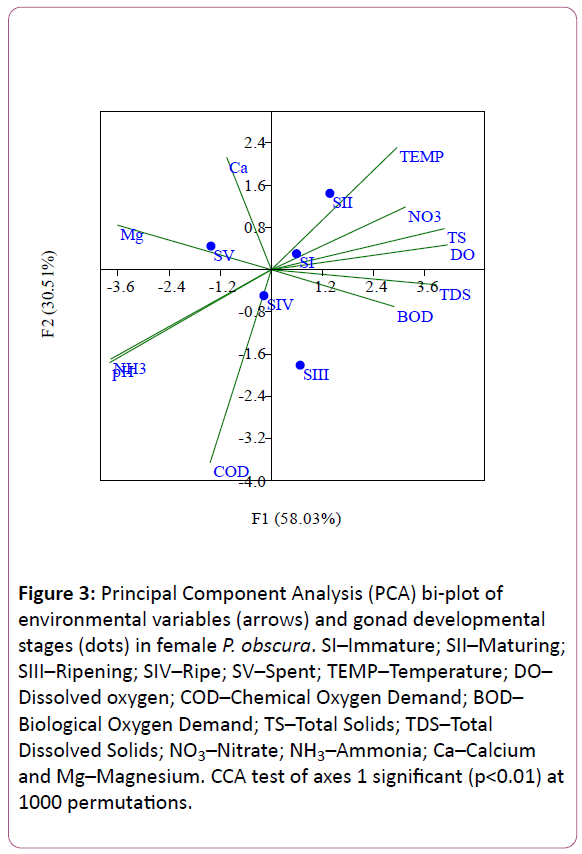 experimental-biology-Magnesium-CCA-test-axes