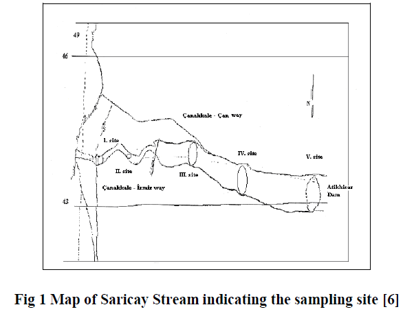 experimental-biology-Map-Saricay-Stream