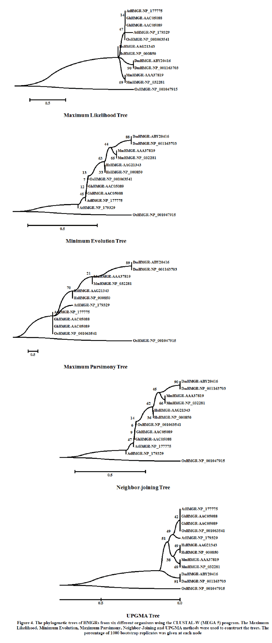 experimental-biology-Maximum-Parsimony