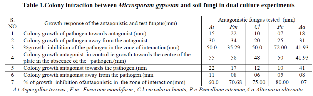 experimental-biology-Microsporam-gypseum