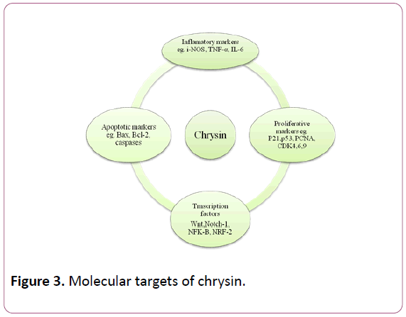 experimental-biology-Molecular-targets