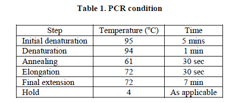 experimental-biology-PCR-condition