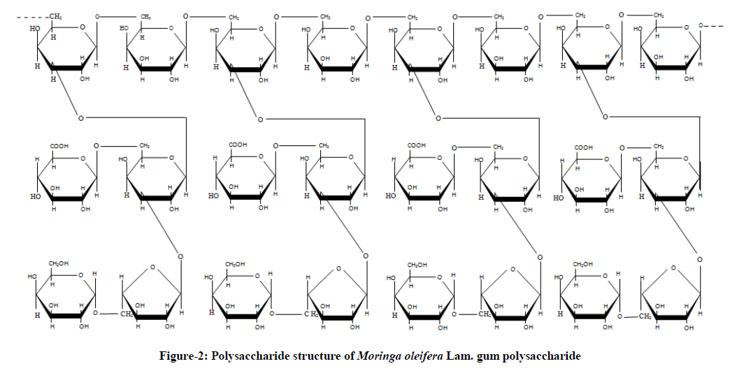 experimental-biology-Polysaccharide-structure