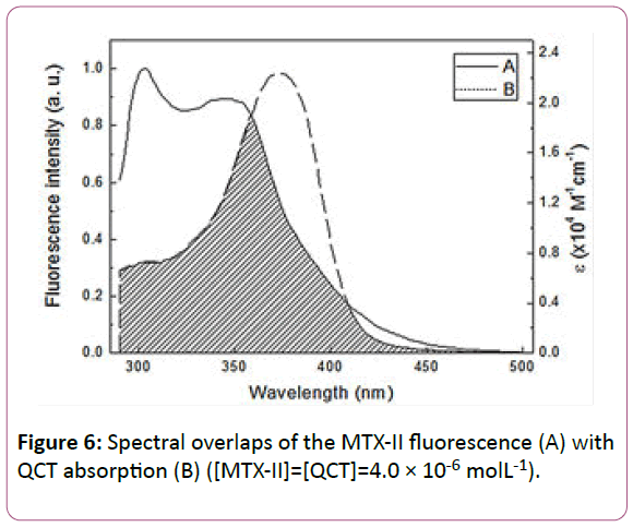 experimental-biology-QCT-absorption