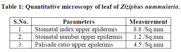 experimental-biology-Quantitative-microscopy