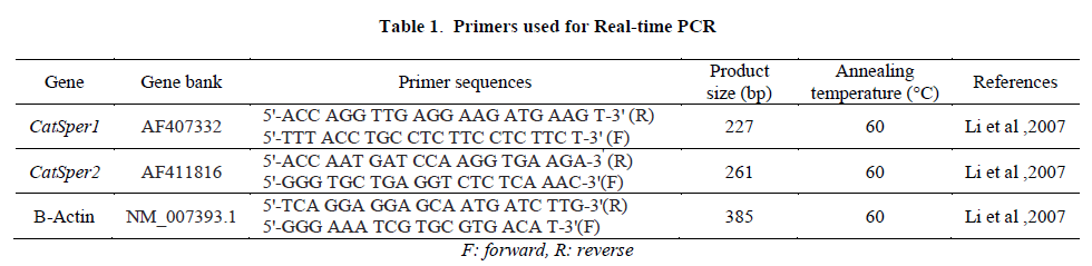experimental-biology-Real-time-PCR