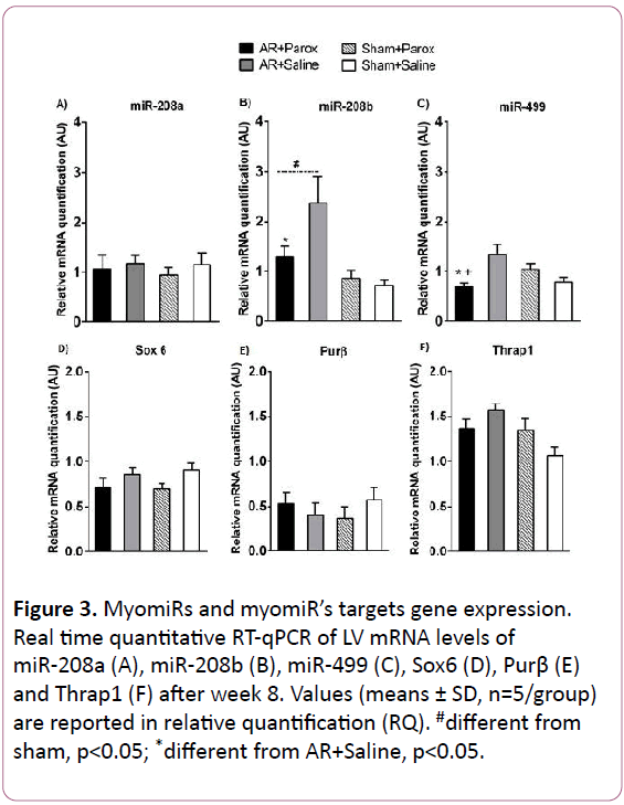 experimental-biology-Real-time-quantitative