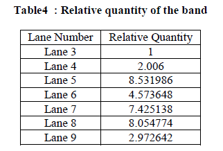 experimental-biology-Relative-quantity