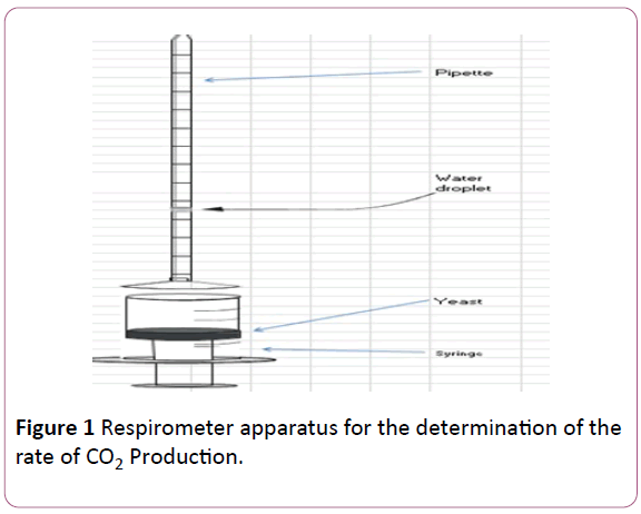 experimental-biology-Respirometer-apparatus