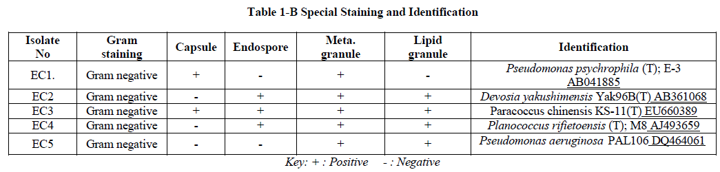 experimental-biology-Special-Staining