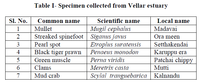 experimental-biology-Specimen-collected