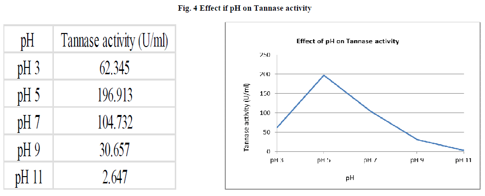 experimental-biology-Tannase-activity
