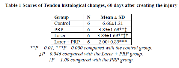 experimental-biology-Tendon-histological-changes