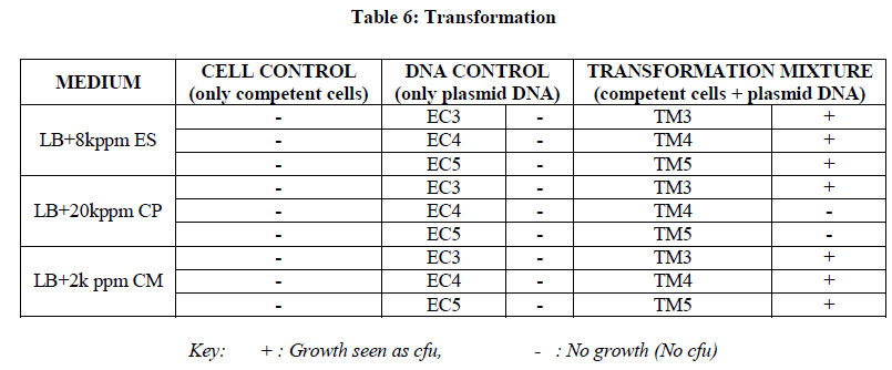 experimental-biology-Transformation