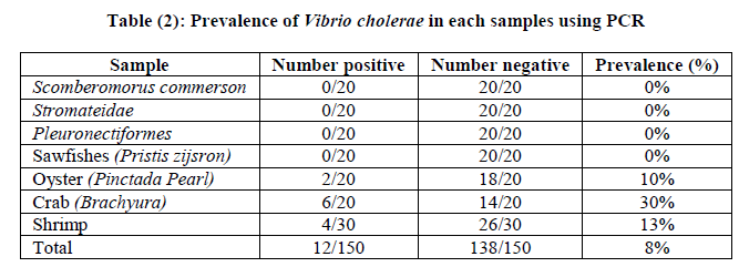 experimental-biology-Vibrio-cholerae-each