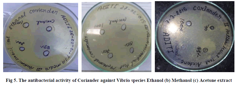 experimental-biology-Vibrio-species-Ethanol
