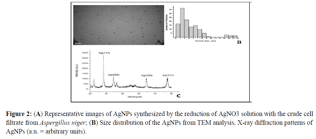 experimental-biology-X-ray-diffraction-patterns