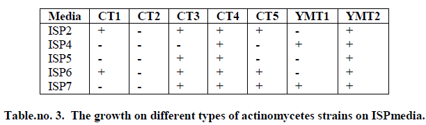 experimental-biology-actinomycetes-strains