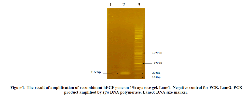 experimental-biology-amplification-recombinant