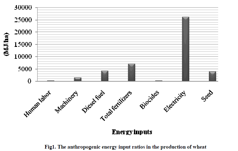 experimental-biology-anthropogenic-energy