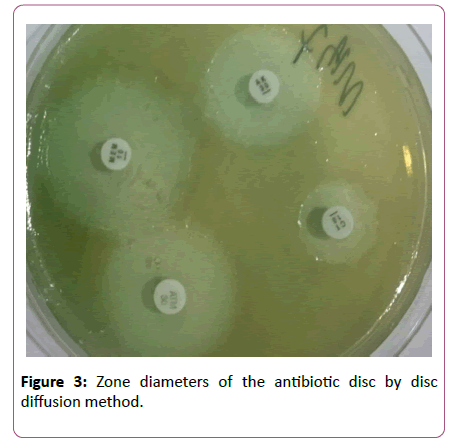 experimental-biology-antibiotic