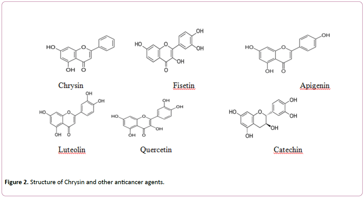 experimental-biology-anticancer-agents