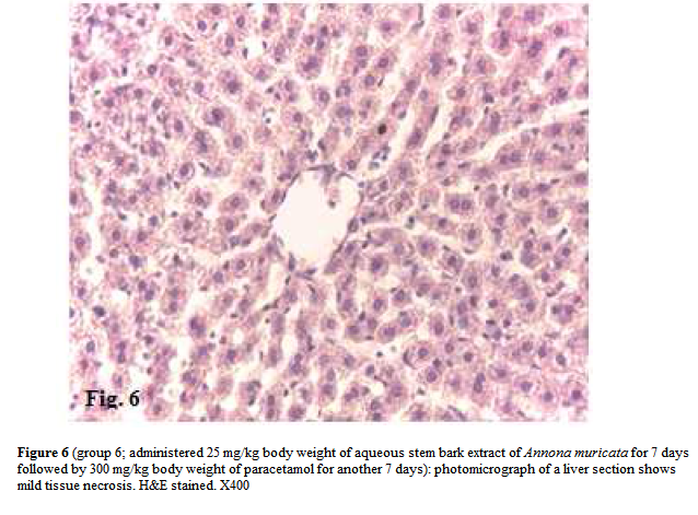 experimental-biology-aqueous-stem-bark