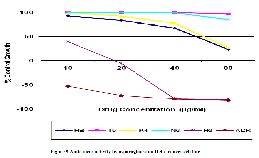 experimental-biology-asparaginase-HeLa-cancer