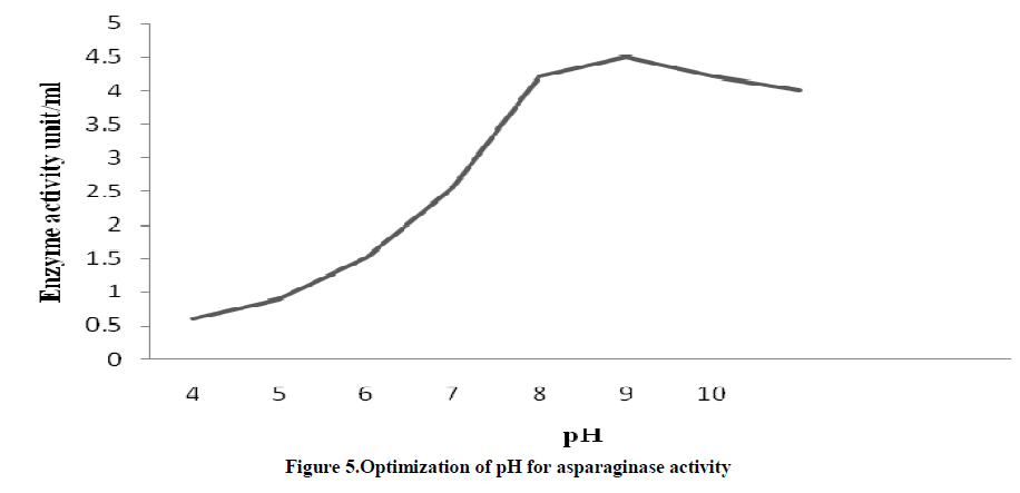 experimental-biology-asparaginase-activity