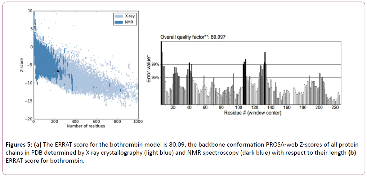 experimental-biology-backbone-conformation