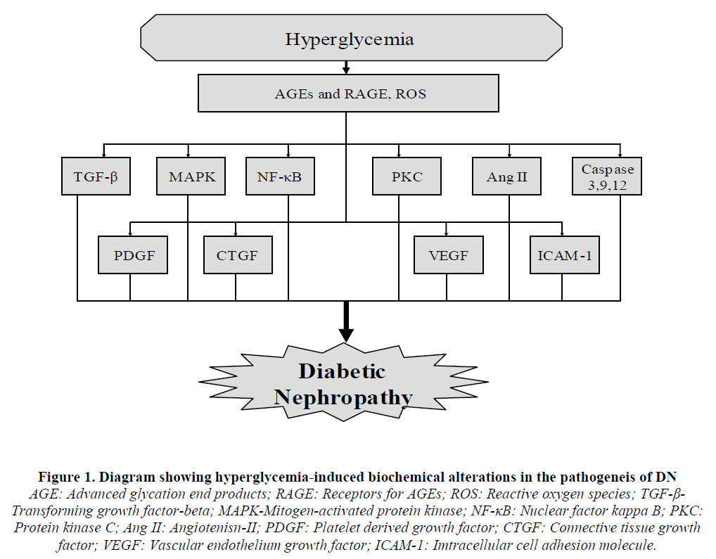 experimental-biology-biochemical-alterations