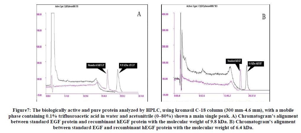 experimental-biology-biologically-active