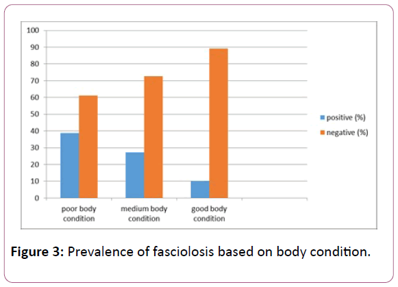 experimental-biology-body-condition