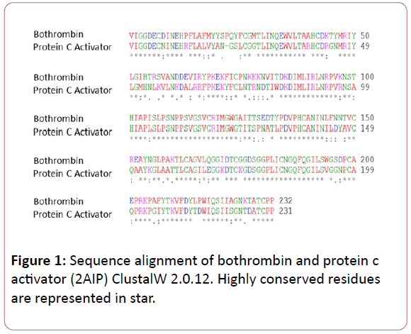 experimental-biology-bothrombin-protein