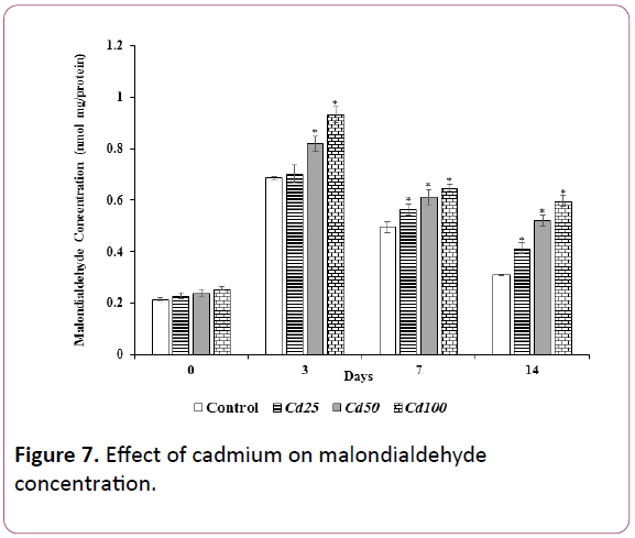 experimental-biology-cadmium-malondialdehyde