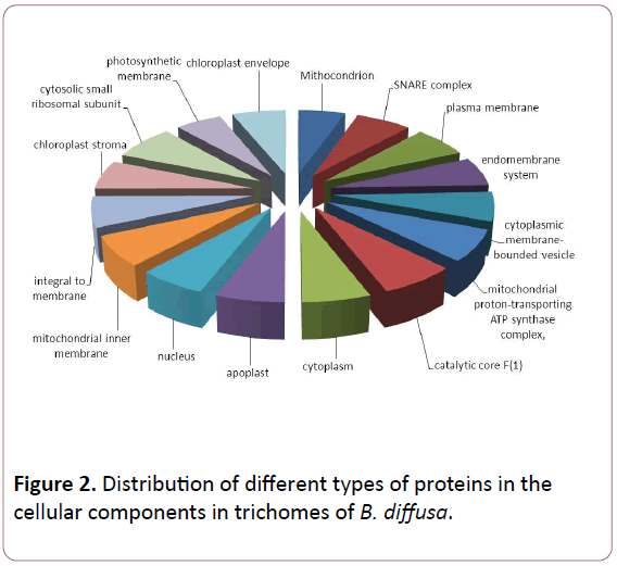 experimental-biology-cellular-components