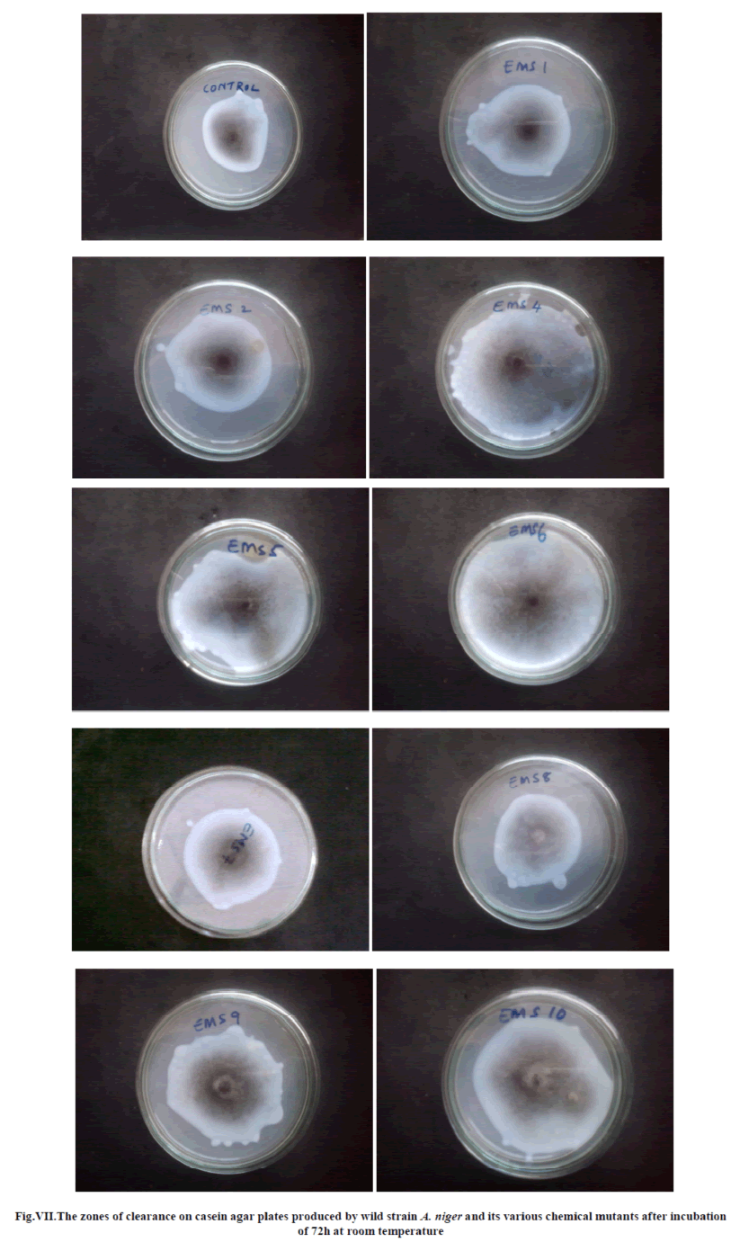 experimental-biology-chemical-mutants