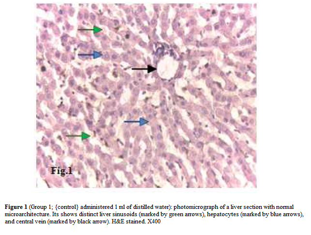 experimental-biology-distinct-liver-sinusoids