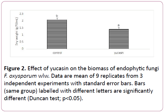 experimental-biology-endophytic-fungi