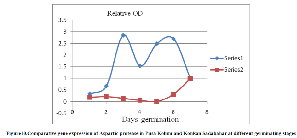 experimental-biology-expression-Aspartic