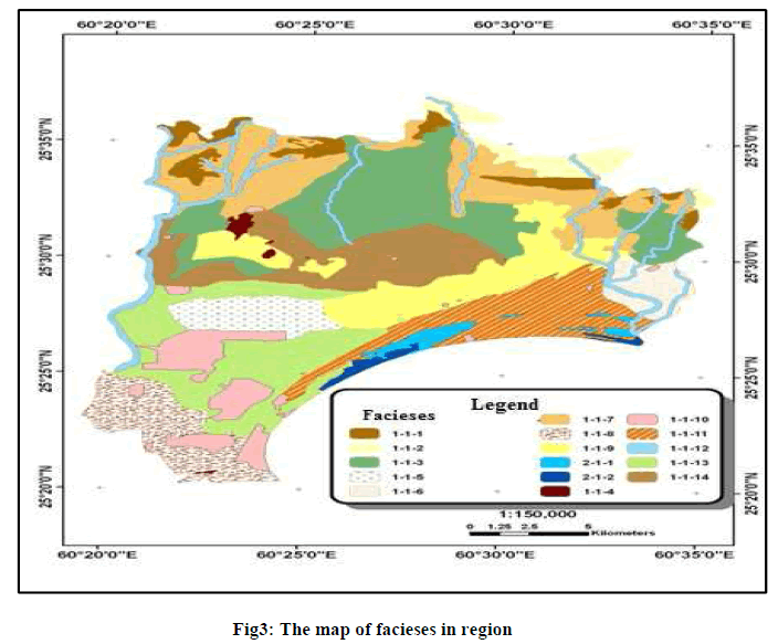 experimental-biology-facieses-region