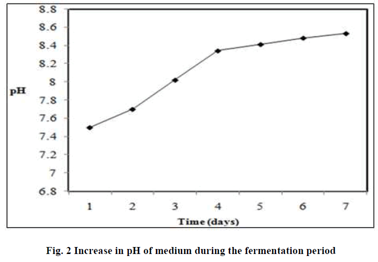 experimental-biology-fermentation-period