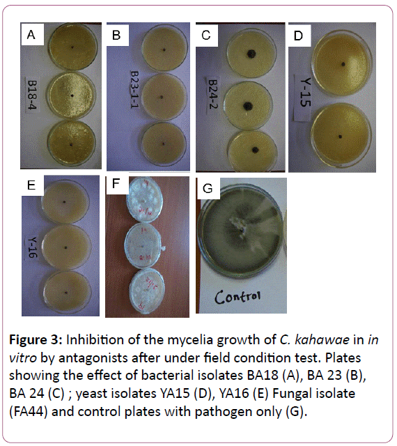 experimental-biology-field-condition