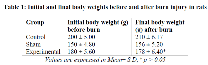experimental-biology-final-body-weights