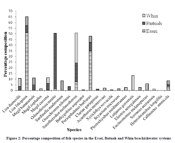 experimental-biology-fish-species-Essei