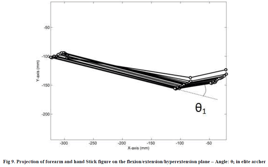 experimental-biology-flexion-extension-hyperextension