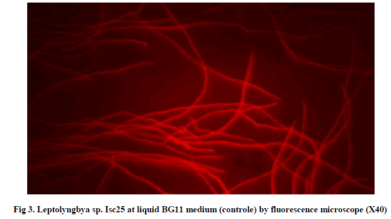 experimental-biology-fluorescence-microscope