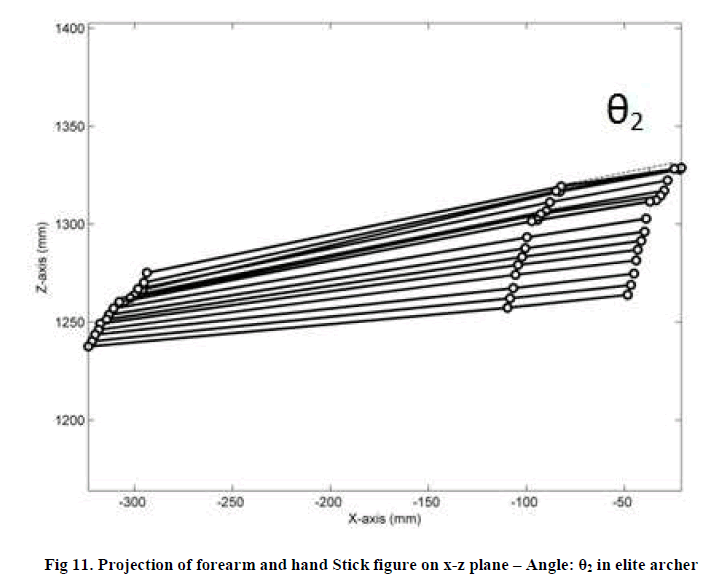 experimental-biology-forearm-hand-Stick