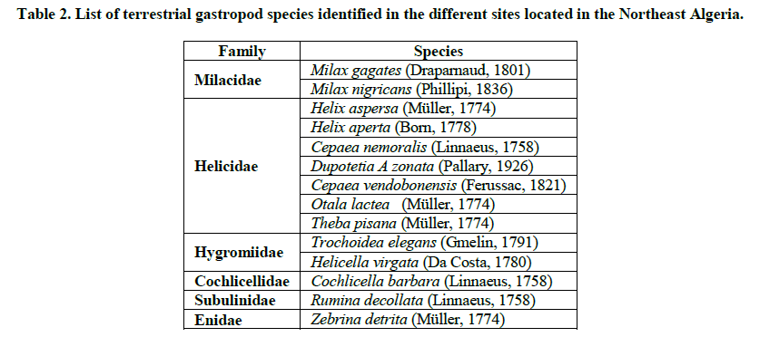 experimental-biology-gastropod-species